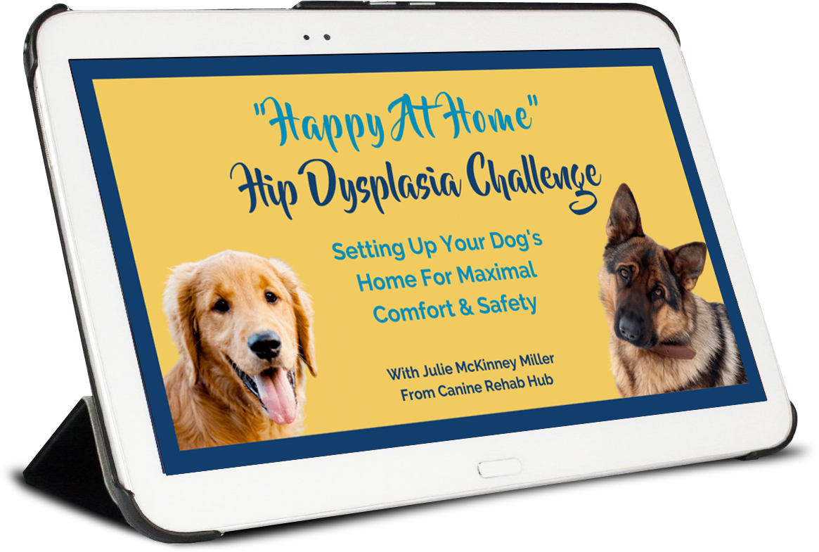 Happy At Home Hip Dysplasia Challenge Course