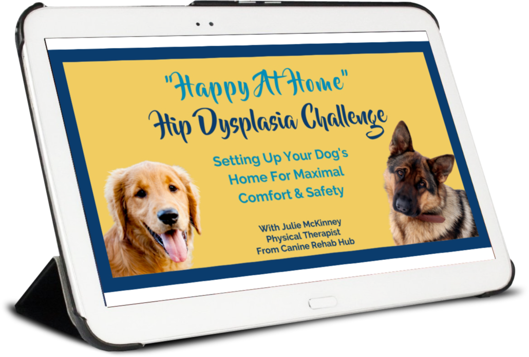 Happy At Home Hip Dysplasia Challenge Image on tablet