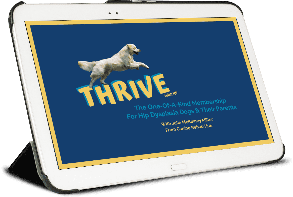 THRIVE with Hip Dysplasia membership