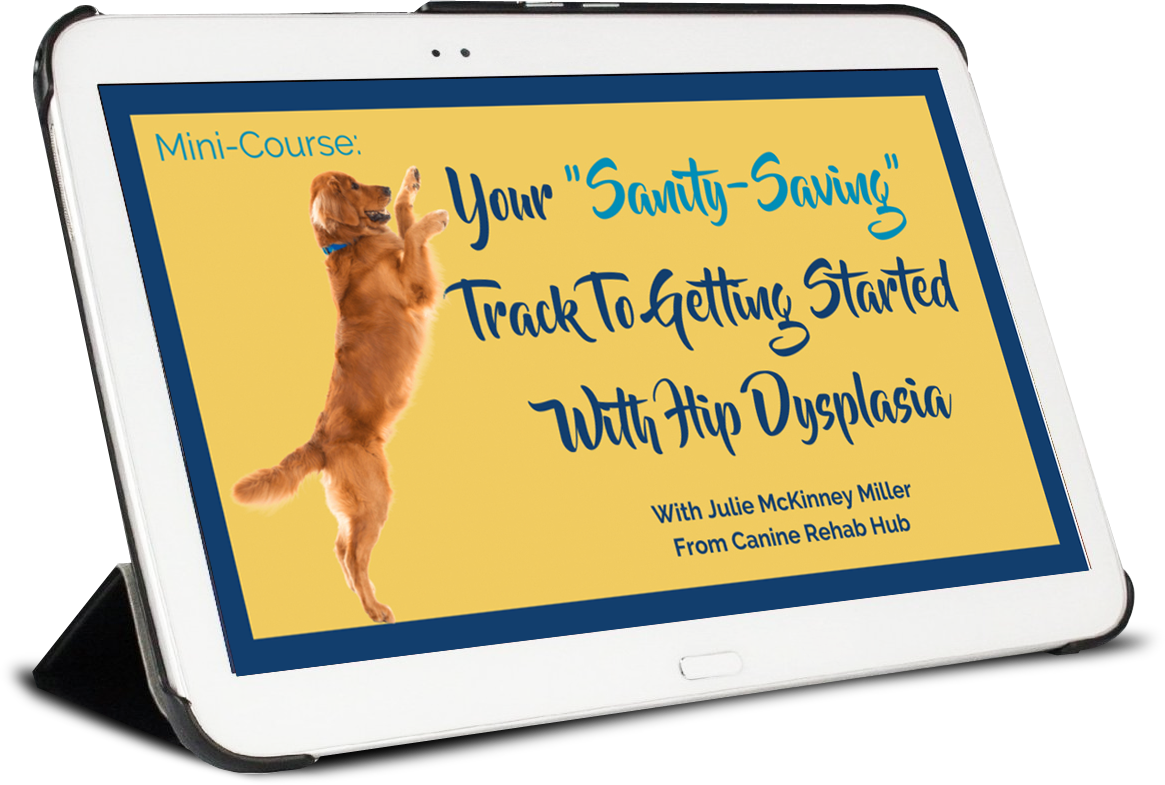 Your Sanity-Saving Track To Getting Started With Hip Dysplasia course